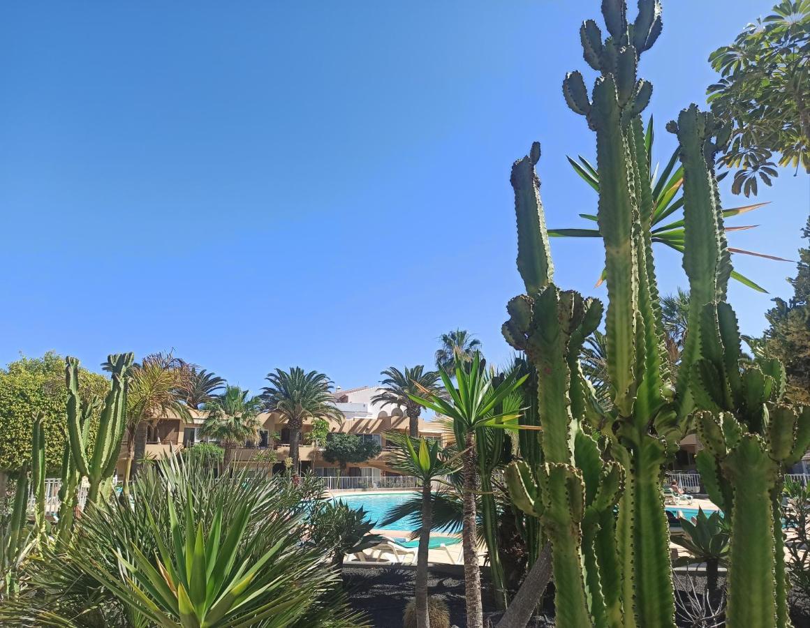 Elrincondesara Apartment Corralejo Bagian luar foto