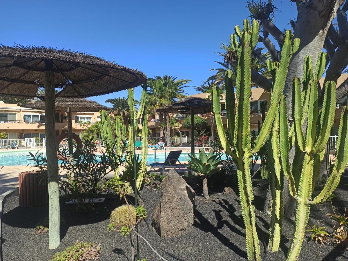 Elrincondesara Apartment Corralejo Bagian luar foto