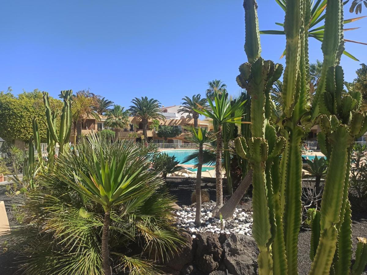 Elrincondesara Apartment Corralejo Bagian luar foto